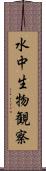 水中生物観察 Scroll