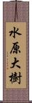 水原大樹 Scroll