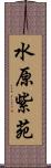 水原紫苑 Scroll