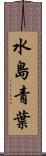 水島青葉 Scroll