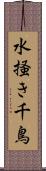 水掻き千鳥 Scroll