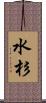 水杉 Scroll