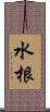 水根 Scroll