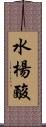 水楊酸 Scroll