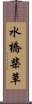 水橋柴草 Scroll