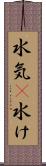 水気(P) Scroll