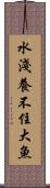 水淺養不住大魚 Scroll