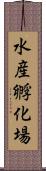 水産孵化場 Scroll