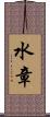 水章 Scroll