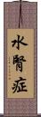水腎症 Scroll