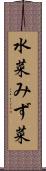 水菜 Scroll