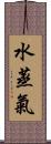 水蒸氣 Scroll