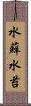 水蘚 Scroll