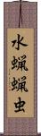 水蝋蝋虫 Scroll