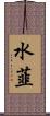 水韮 Scroll