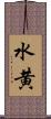 水黄 Scroll