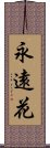 永遠花 Scroll