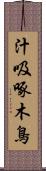汁吸啄木鳥 Scroll