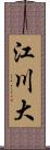 江川大 Scroll