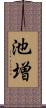 池増 Scroll