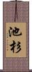 池杉 Scroll