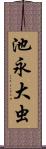 池永大虫 Scroll