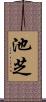 池芝 Scroll
