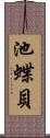 池蝶貝 Scroll