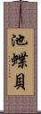 池蝶貝 Scroll