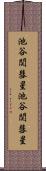 池谷・関彗星 Scroll