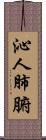 沁人肺腑 Scroll
