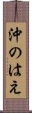 沖のはえ Scroll