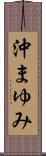 沖まゆみ Scroll