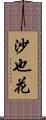 沙也花 Scroll