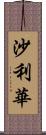 沙利華 Scroll