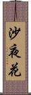 沙夜花 Scroll