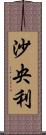 沙央利 Scroll