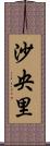 沙央里 Scroll