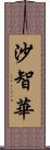 沙智華 Scroll
