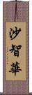 沙智華 Scroll