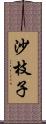 沙枝子 Scroll