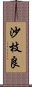 沙枝良 Scroll