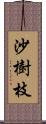 沙樹枝 Scroll