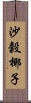 沙穀椰子 Scroll