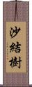 沙結樹 Scroll