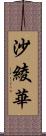 沙綾華 Scroll