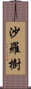 沙羅樹 Scroll