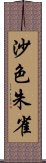 沙色朱雀 Scroll