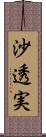 沙透実 Scroll