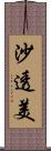 沙透美 Scroll